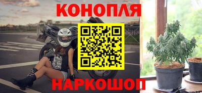 mdpv Новозыбков