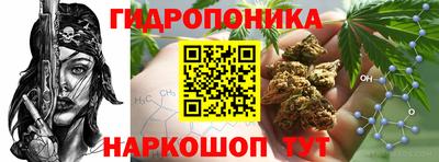 mdpv Новозыбков